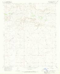 Cooper Ranch New Mexico Historical topographic map, 1:24000 scale, 7.5 X 7.5 Minute, Year 1966