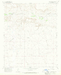 Cooper Ranch New Mexico Historical topographic map, 1:24000 scale, 7.5 X 7.5 Minute, Year 1966