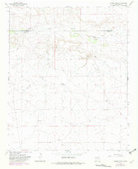 Cooper Ranch New Mexico Historical topographic map, 1:24000 scale, 7.5 X 7.5 Minute, Year 1966