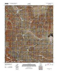 Cooper Canyon New Mexico Historical topographic map, 1:24000 scale, 7.5 X 7.5 Minute, Year 2010
