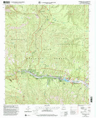 Copperas Peak New Mexico Historical topographic map, 1:24000 scale, 7.5 X 7.5 Minute, Year 1999