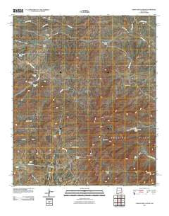 Cornucopia Canyon New Mexico Historical topographic map, 1:24000 scale, 7.5 X 7.5 Minute, Year 2010
