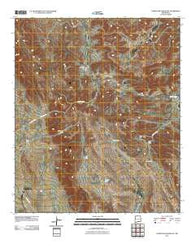 Cornucopia Ranch SE New Mexico Historical topographic map, 1:24000 scale, 7.5 X 7.5 Minute, Year 2010