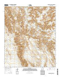 Cornucopia Ranch SE New Mexico Historical topographic map, 1:24000 scale, 7.5 X 7.5 Minute, Year 2013