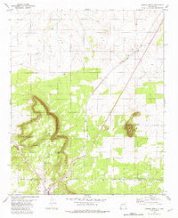 Corona North New Mexico Historical topographic map, 1:24000 scale, 7.5 X 7.5 Minute, Year 1981