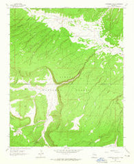 Cottonwood Canyon New Mexico Historical topographic map, 1:24000 scale, 7.5 X 7.5 Minute, Year 1962