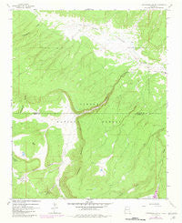 Cottonwood Canyon New Mexico Historical topographic map, 1:24000 scale, 7.5 X 7.5 Minute, Year 1961