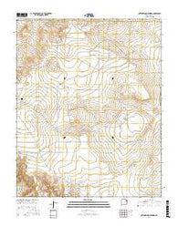 Cottonwood Springs New Mexico Current topographic map, 1:24000 scale, 7.5 X 7.5 Minute, Year 2017