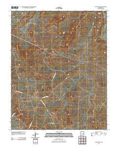 Counselor New Mexico Historical topographic map, 1:24000 scale, 7.5 X 7.5 Minute, Year 2010