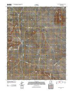 Cow Mountain New Mexico Historical topographic map, 1:24000 scale, 7.5 X 7.5 Minute, Year 2010