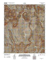 Cow Springs New Mexico Historical topographic map, 1:24000 scale, 7.5 X 7.5 Minute, Year 2010