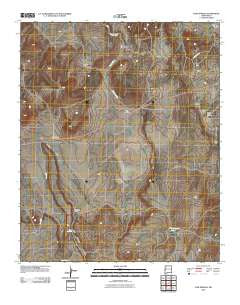 Cow Springs New Mexico Historical topographic map, 1:24000 scale, 7.5 X 7.5 Minute, Year 2010