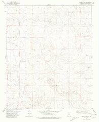 Cowboy Mesa New Mexico Historical topographic map, 1:24000 scale, 7.5 X 7.5 Minute, Year 1981