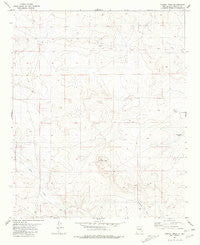 Cowboy Mesa New Mexico Historical topographic map, 1:24000 scale, 7.5 X 7.5 Minute, Year 1981