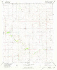 Cowboy Mesa SW New Mexico Historical topographic map, 1:24000 scale, 7.5 X 7.5 Minute, Year 1981