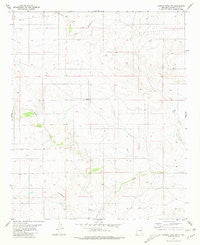 Cowboy Mesa SW New Mexico Historical topographic map, 1:24000 scale, 7.5 X 7.5 Minute, Year 1981