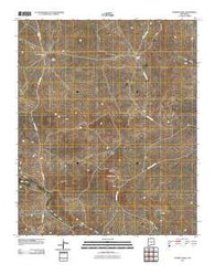 Cowboy Mesa New Mexico Historical topographic map, 1:24000 scale, 7.5 X 7.5 Minute, Year 2010