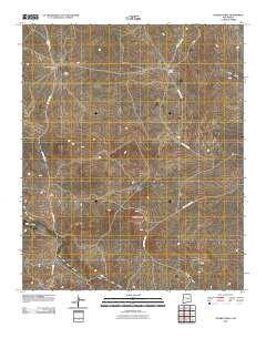 Cowboy Mesa New Mexico Historical topographic map, 1:24000 scale, 7.5 X 7.5 Minute, Year 2010