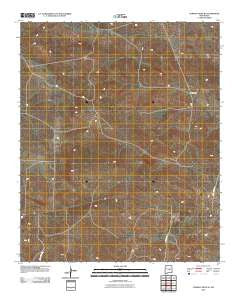Cowboy Mesa NE New Mexico Historical topographic map, 1:24000 scale, 7.5 X 7.5 Minute, Year 2010