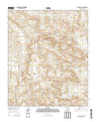 Cowboy Mesa NE New Mexico Historical topographic map, 1:24000 scale, 7.5 X 7.5 Minute, Year 2013