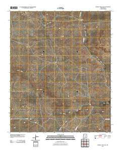 Cowboy Mesa SW New Mexico Historical topographic map, 1:24000 scale, 7.5 X 7.5 Minute, Year 2010