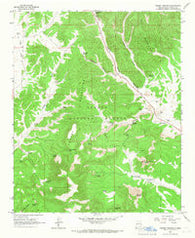 Crosby Springs New Mexico Historical topographic map, 1:24000 scale, 7.5 X 7.5 Minute, Year 1964