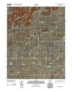 Cross L Ranch SW New Mexico Historical topographic map, 1:24000 scale, 7.5 X 7.5 Minute, Year 2010