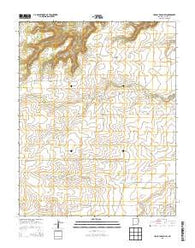 Cross L Ranch SW New Mexico Historical topographic map, 1:24000 scale, 7.5 X 7.5 Minute, Year 2013