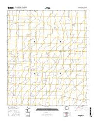 Crossroads New Mexico Current topographic map, 1:24000 scale, 7.5 X 7.5 Minute, Year 2017