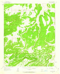 Crow Point New Mexico Historical topographic map, 1:24000 scale, 7.5 X 7.5 Minute, Year 1961