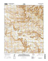 Crow Mesa West New Mexico Current topographic map, 1:24000 scale, 7.5 X 7.5 Minute, Year 2017