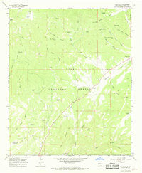 Cruzville New Mexico Historical topographic map, 1:24000 scale, 7.5 X 7.5 Minute, Year 1965