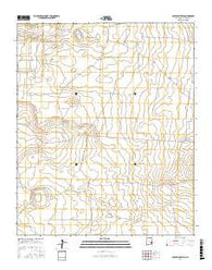 Curlew Lake SE New Mexico Current topographic map, 1:24000 scale, 7.5 X 7.5 Minute, Year 2017