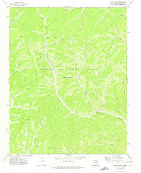 Curtis Camp New Mexico Historical topographic map, 1:24000 scale, 7.5 X 7.5 Minute, Year 1971