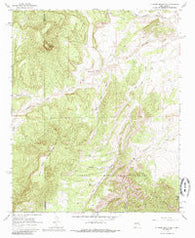 D Cross Mountain New Mexico Historical topographic map, 1:24000 scale, 7.5 X 7.5 Minute, Year 1964