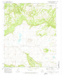 Dale Mountain New Mexico Historical topographic map, 1:24000 scale, 7.5 X 7.5 Minute, Year 1971