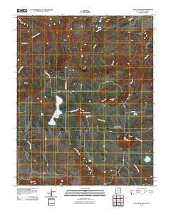 Dale Mountain New Mexico Historical topographic map, 1:24000 scale, 7.5 X 7.5 Minute, Year 2010
