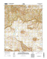 Dale Mountain New Mexico Current topographic map, 1:24000 scale, 7.5 X 7.5 Minute, Year 2013