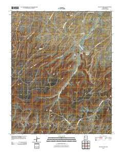 Dalton Pass New Mexico Historical topographic map, 1:24000 scale, 7.5 X 7.5 Minute, Year 2010