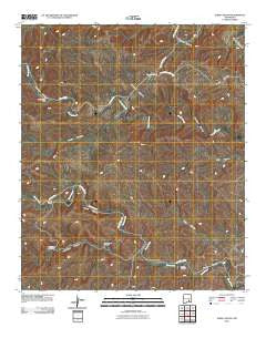 Dark Canyon New Mexico Historical topographic map, 1:24000 scale, 7.5 X 7.5 Minute, Year 2010