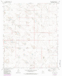 Dean Ranch New Mexico Historical topographic map, 1:24000 scale, 7.5 X 7.5 Minute, Year 1973