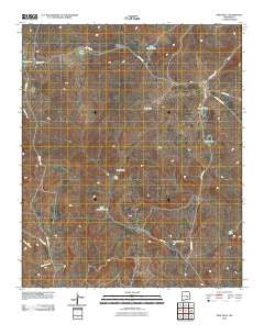 Deep Well New Mexico Historical topographic map, 1:24000 scale, 7.5 X 7.5 Minute, Year 2010