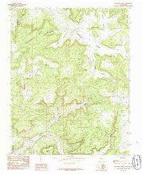 Delgadita Mesa New Mexico Historical topographic map, 1:24000 scale, 7.5 X 7.5 Minute, Year 1985