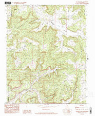 Delgadita Mesa New Mexico Historical topographic map, 1:24000 scale, 7.5 X 7.5 Minute, Year 1985