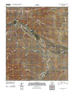 Diamond A Ranch New Mexico Historical topographic map, 1:24000 scale, 7.5 X 7.5 Minute, Year 2010