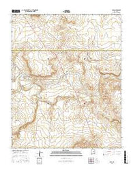 Dilia New Mexico Current topographic map, 1:24000 scale, 7.5 X 7.5 Minute, Year 2017