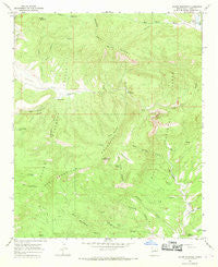 Dillon Mountain New Mexico Historical topographic map, 1:24000 scale, 7.5 X 7.5 Minute, Year 1965