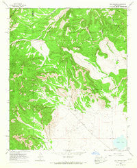 Dog Springs New Mexico Historical topographic map, 1:24000 scale, 7.5 X 7.5 Minute, Year 1964