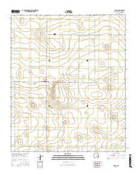 Dora New Mexico Current topographic map, 1:24000 scale, 7.5 X 7.5 Minute, Year 2017