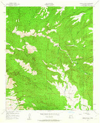 Dorsey Ranch New Mexico Historical topographic map, 1:24000 scale, 7.5 X 7.5 Minute, Year 1950